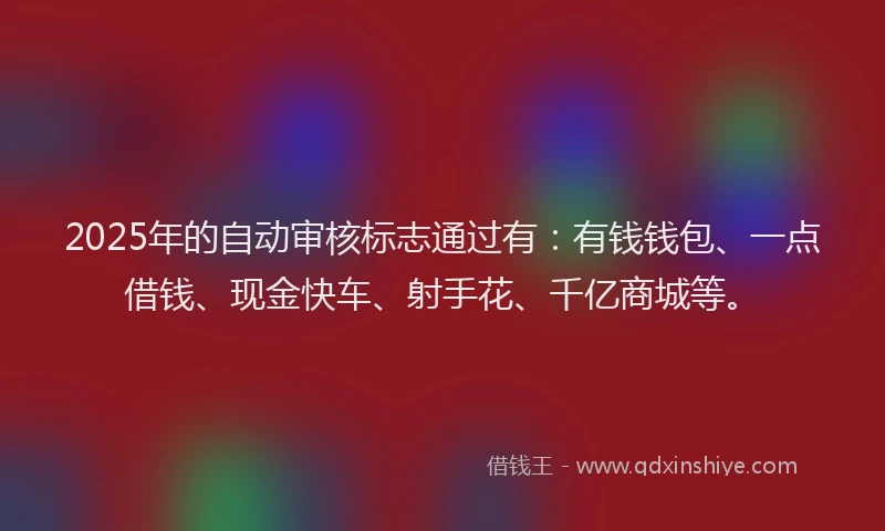 2025年的自动审核标志通过有：有钱钱包、一点借钱、现金快车、射手花、千亿商城等。