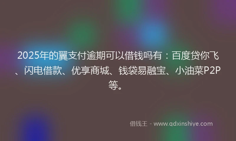 2025年的翼支付逾期可以借钱吗有：百度贷你飞、闪电借款、优享商城、钱袋易融宝、小油菜P2P等。