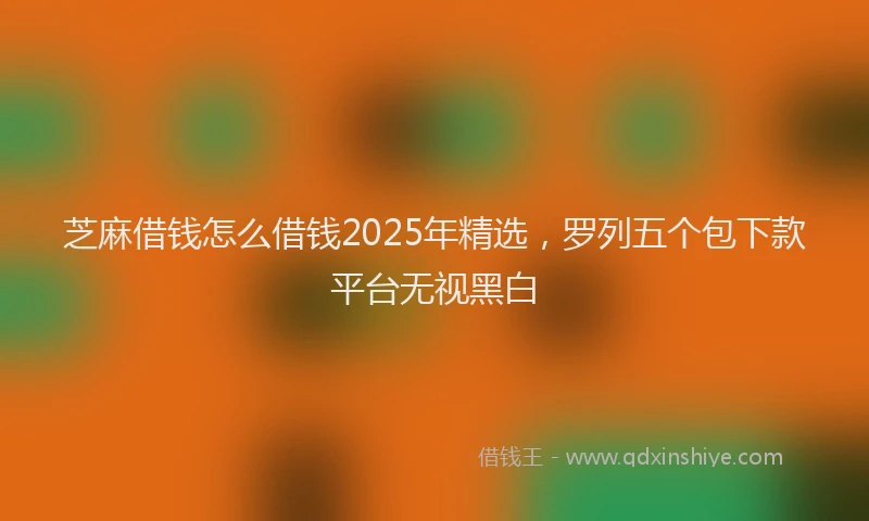 芝麻借钱怎么借钱2025年精选，罗列五个包下款平台无视黑白