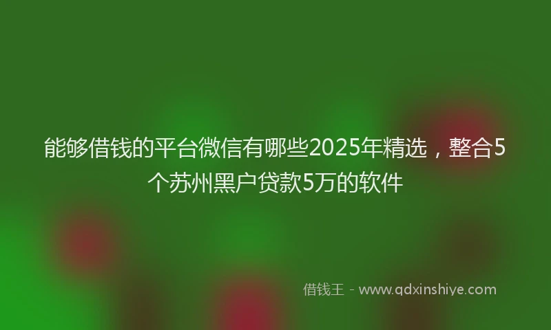 能够借钱的平台微信有哪些2025年精选，整合5个苏州黑户贷款5万的软件