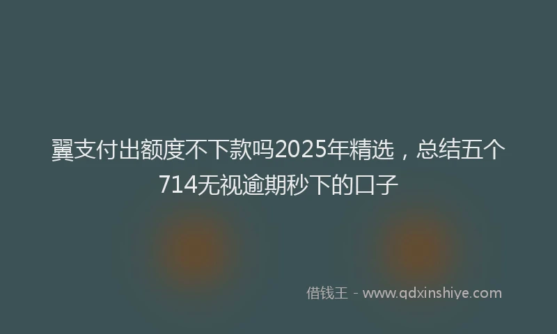 翼支付出额度不下款吗2025年精选，总结五个714无视逾期秒下的口子
