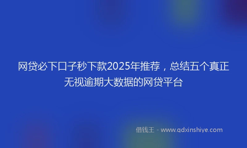 网贷必下口子秒下款2025年推荐，总结五个真正无视逾期大数据的网贷平台