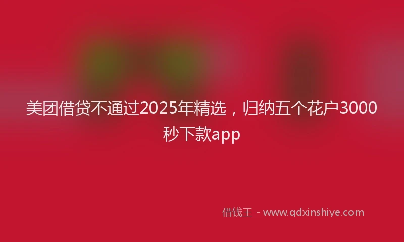美团借贷不通过2025年精选，归纳五个花户3000秒下款app