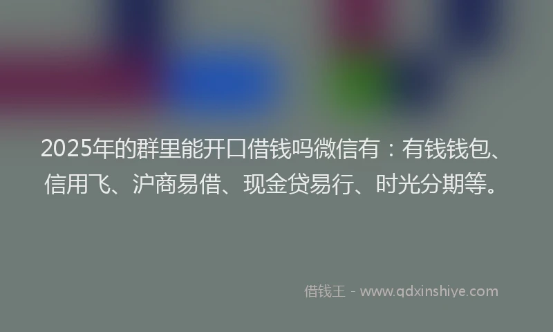 2025年的群里能开口借钱吗微信有：有钱钱包、信用飞、沪商易借、现金贷易行、时光分期等。
