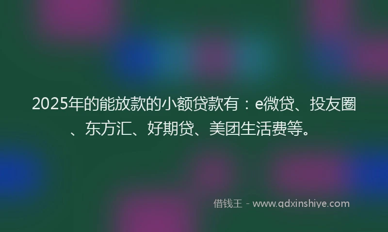 2025年的能放款的小额贷款有：e微贷、投友圈、东方汇、好期贷、美团生活费等。