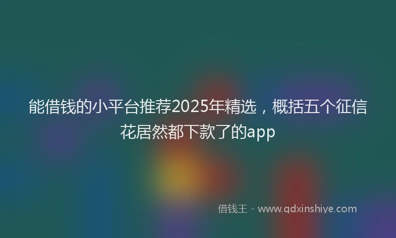 能借钱的小平台推荐2025年精选，概括五个征信花居然都下款了的app