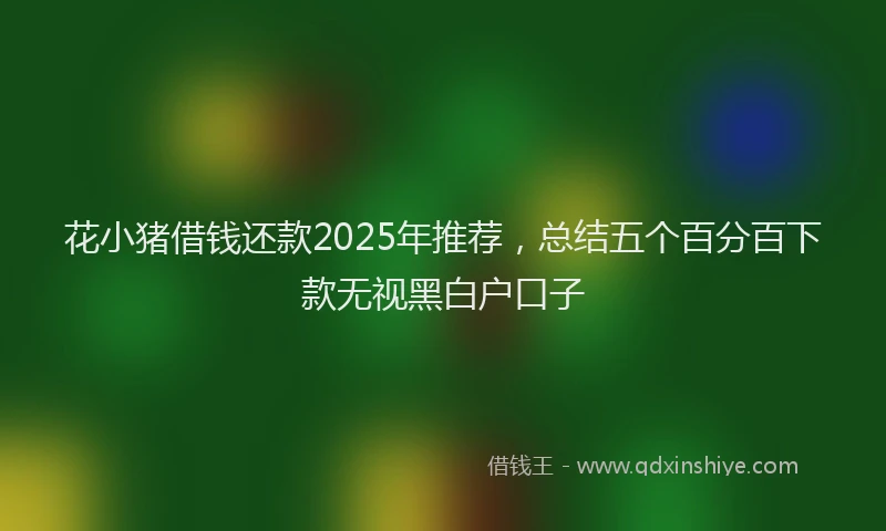 花小猪借钱还款2025年推荐，总结五个百分百下款无视黑白户口子