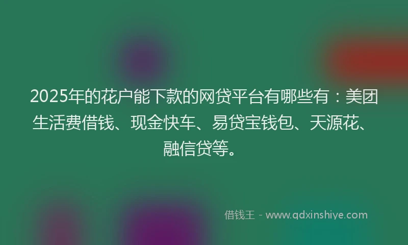 2025年的花户能下款的网贷平台有哪些有：美团生活费借钱、现金快车、易贷宝钱包、天源花、融信贷等。