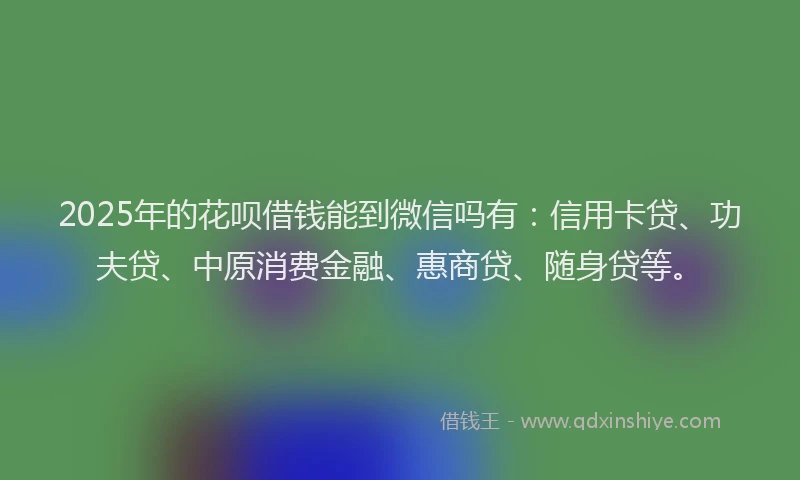 2025年的花呗借钱能到微信吗有：信用卡贷、功夫贷、中原消费金融、惠商贷、随身贷等。