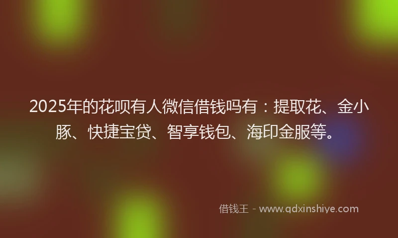 2025年的花呗有人微信借钱吗有：提取花、金小豚、快捷宝贷、智享钱包、海印金服等。