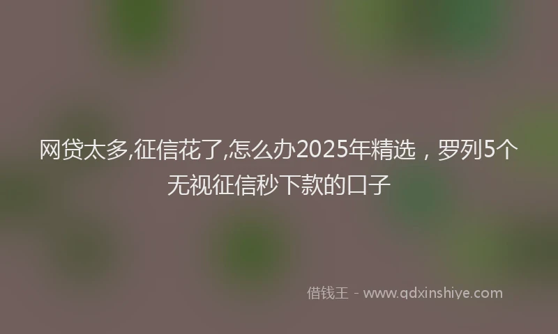 网贷太多,征信花了,怎么办2025年精选，罗列5个无视征信秒下款的口子