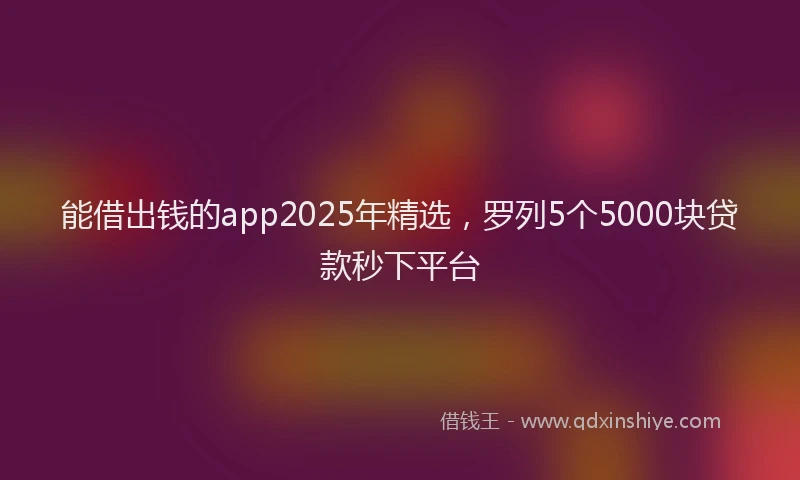 能借出钱的app2025年精选，罗列5个5000块贷款秒下平台