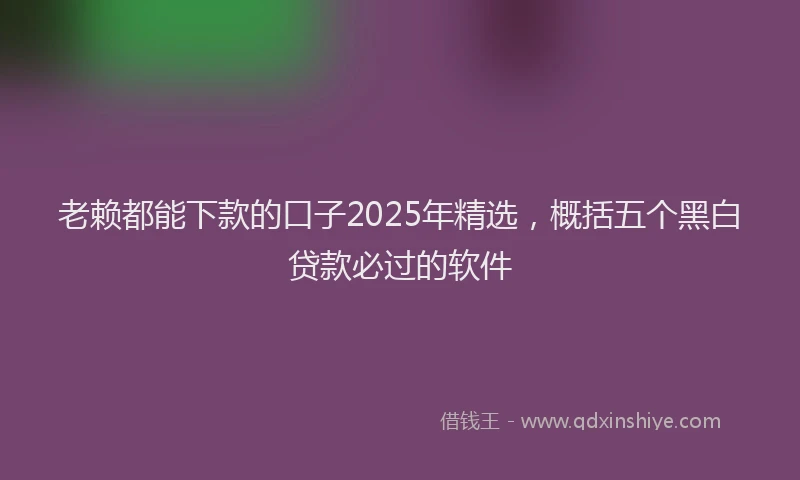 老赖都能下款的口子2025年精选，概括五个黑白贷款必过的软件