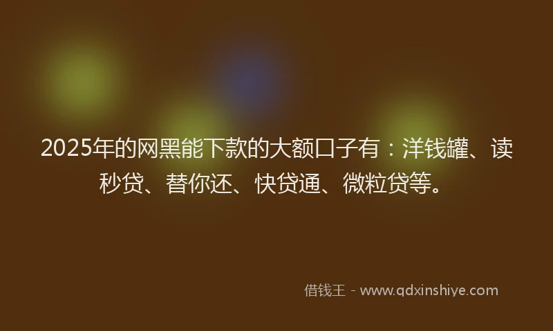 2025年的网黑能下款的大额口子有：洋钱罐、读秒贷、替你还、快贷通、微粒贷等。