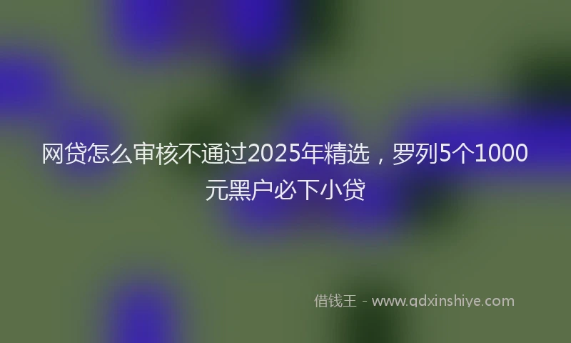 网贷怎么审核不通过2025年精选，罗列5个1000元黑户必下小贷