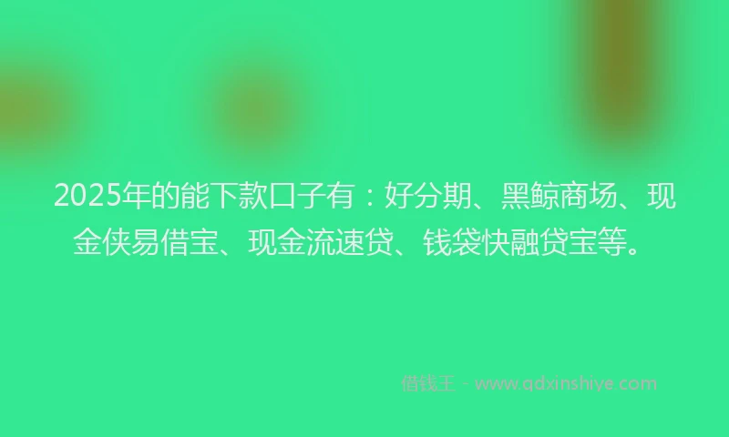 2025年的能下款口子有：好分期、黑鲸商场、现金侠易借宝、现金流速贷、钱袋快融贷宝等。