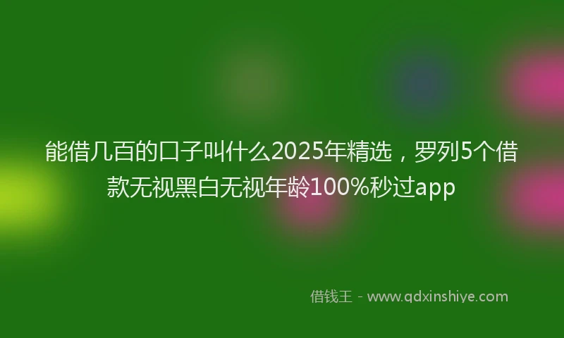 能借几百的口子叫什么2025年精选，罗列5个借款无视黑白无视年龄100%秒过app