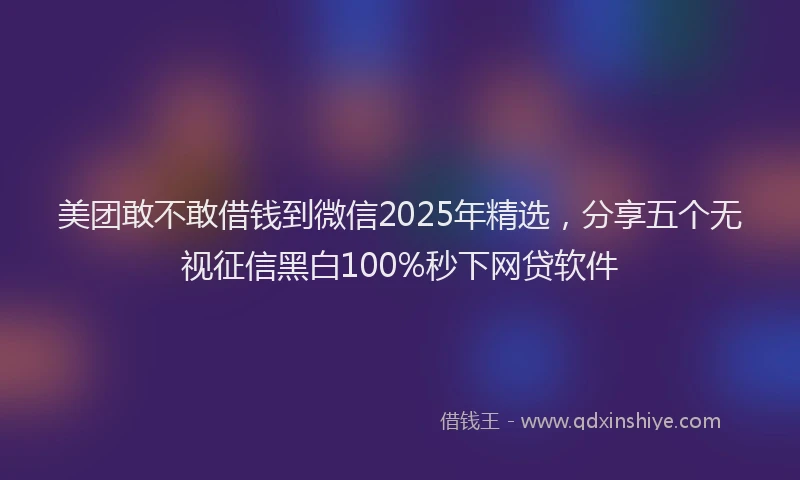 美团敢不敢借钱到微信2025年精选，分享五个无视征信黑白100%秒下网贷软件