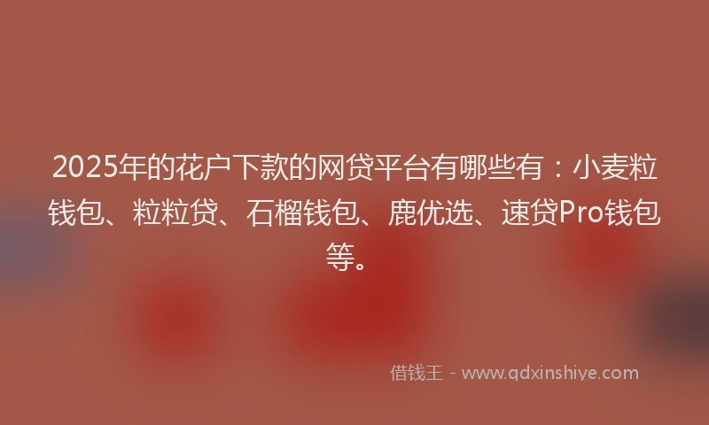 2025年的花户下款的网贷平台有哪些有：小麦粒钱包、粒粒贷、石榴钱包、鹿优选、速贷Pro钱包等。