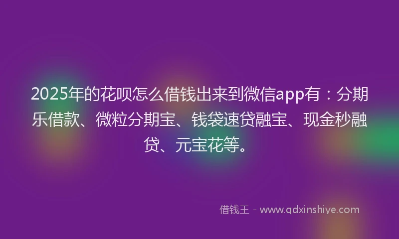 2025年的花呗怎么借钱出来到微信app有：分期乐借款、微粒分期宝、钱袋速贷融宝、现金秒融贷、元宝花等。