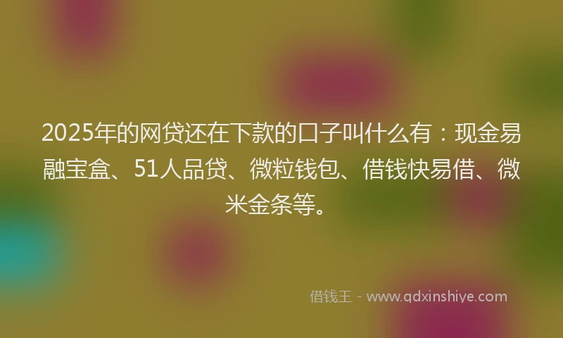 2025年的网贷还在下款的口子叫什么有：现金易融宝盒、51人品贷、微粒钱包、借钱快易借、微米金条等。