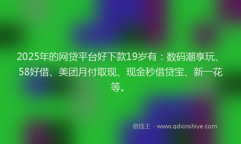 2025年的网贷平台好下款19岁有：数码潮享玩、58好借、美团月付取现、现金秒借贷宝、新一花等。