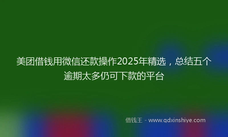 美团借钱用微信还款操作2025年精选，总结五个逾期太多仍可下款的平台