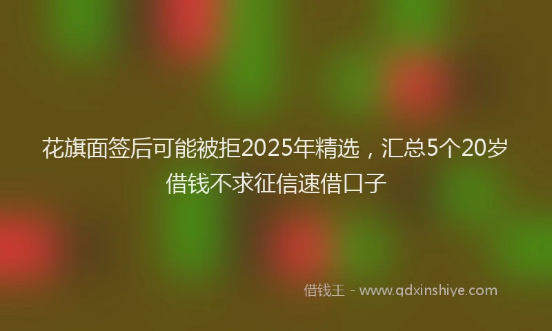 花旗面签后可能被拒2025年精选，汇总5个20岁借钱不求征信速借口子