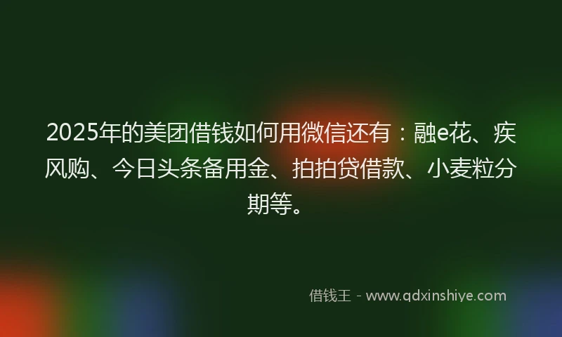 2025年的美团借钱如何用微信还有：融e花、疾风购、今日头条备用金、拍拍贷借款、小麦粒分期等。