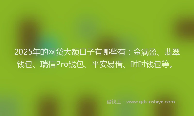 2025年的网贷大额口子有哪些有：金满盈、翡翠钱包、瑞信Pro钱包、平安易借、时时钱包等。