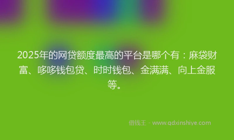 2025年的网贷额度最高的平台是哪个有：麻袋财富、哆哆钱包贷、时时钱包、金满满、向上金服等。