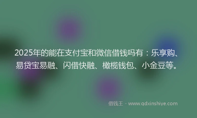 2025年的能在支付宝和微信借钱吗有：乐享购、易贷宝易融、闪借快融、橄榄钱包、小金豆等。