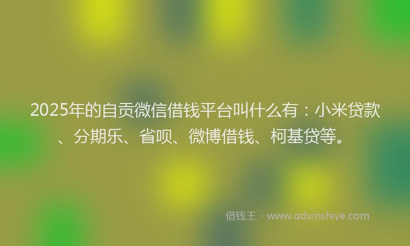 2025年的自贡微信借钱平台叫什么有：小米贷款、分期乐、省呗、微博借钱、柯基贷等。