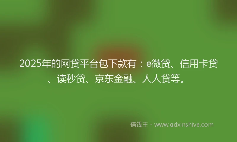 2025年的网贷平台包下款有：e微贷、信用卡贷、读秒贷、京东金融、人人贷等。