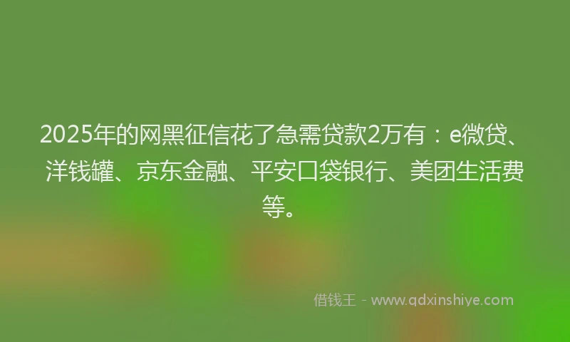 2025年的网黑征信花了急需贷款2万有：e微贷、洋钱罐、京东金融、平安口袋银行、美团生活费等。