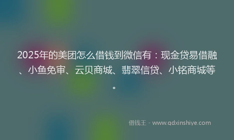 2025年的美团怎么借钱到微信有：现金贷易借融、小鱼免审、云贝商城、翡翠信贷、小铭商城等。