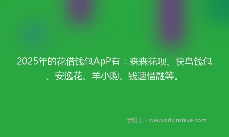 2025年的花借钱包ApP有：森森花呗、快鸟钱包、安逸花、羊小购、钱速借融等。