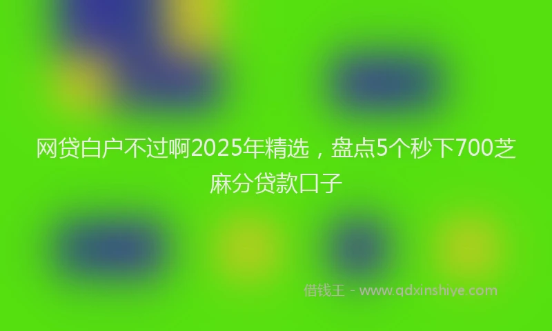 网贷白户不过啊2025年精选，盘点5个秒下700芝麻分贷款口子