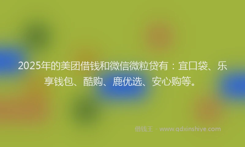 2025年的美团借钱和微信微粒贷有：宜口袋、乐享钱包、酷购、鹿优选、安心购等。