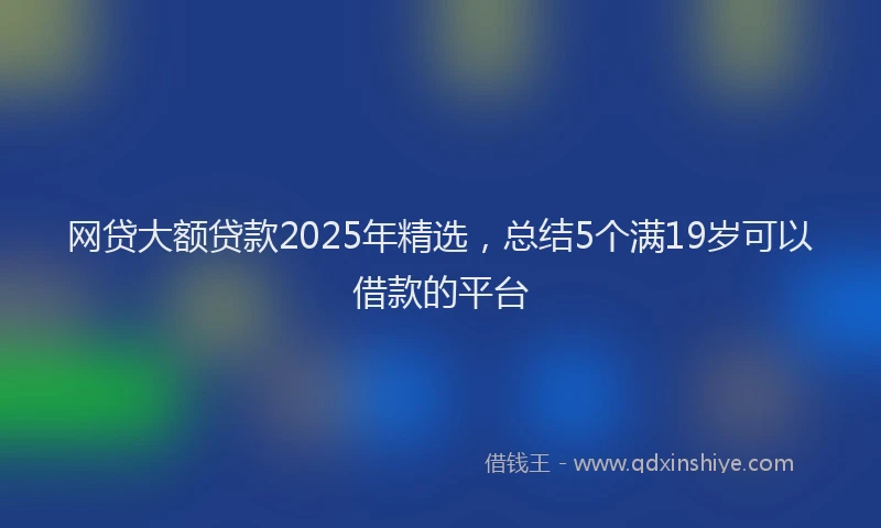 网贷大额贷款2025年精选，总结5个满19岁可以借款的平台
