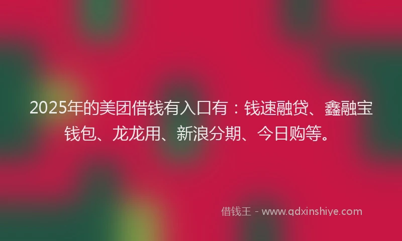 2025年的美团借钱有入口有：钱速融贷、鑫融宝钱包、龙龙用、新浪分期、今日购等。