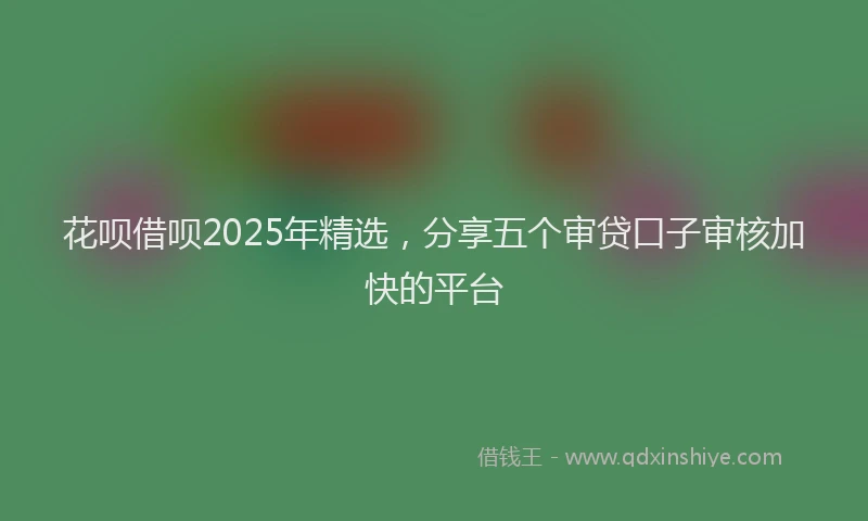 花呗借呗2025年精选，分享五个审贷口子审核加快的平台