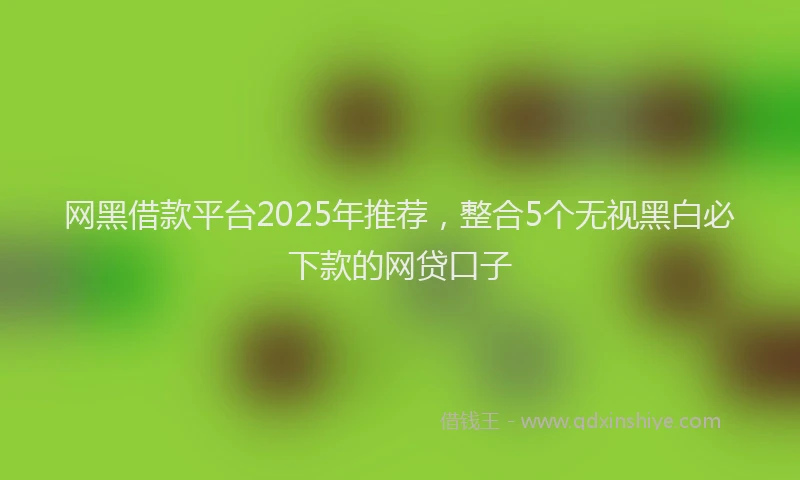 网黑借款平台2025年推荐，整合5个无视黑白必下款的网贷口子