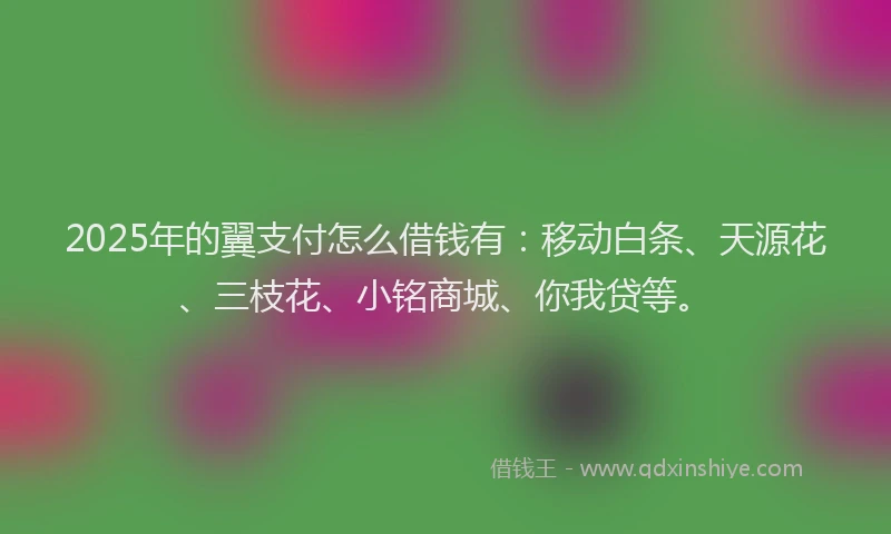 2025年的翼支付怎么借钱有：移动白条、天源花、三枝花、小铭商城、你我贷等。