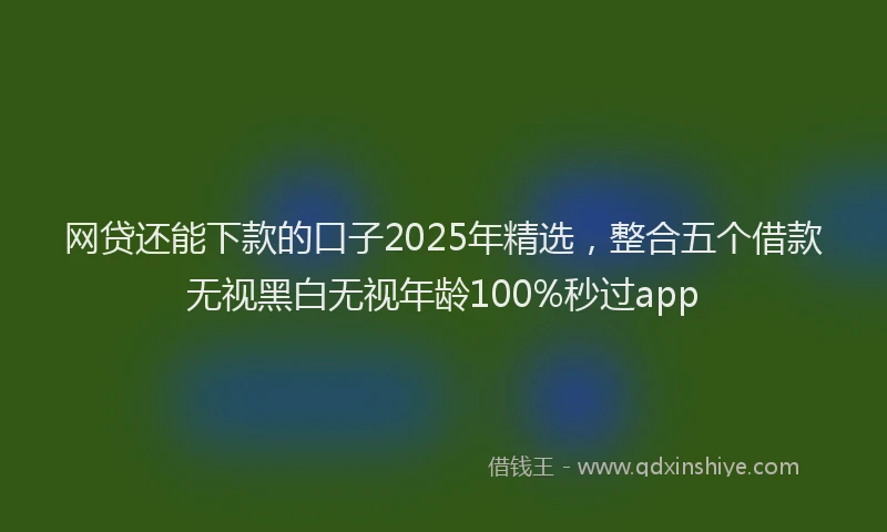 网贷还能下款的口子2025年精选，整合五个借款无视黑白无视年龄100%秒过app