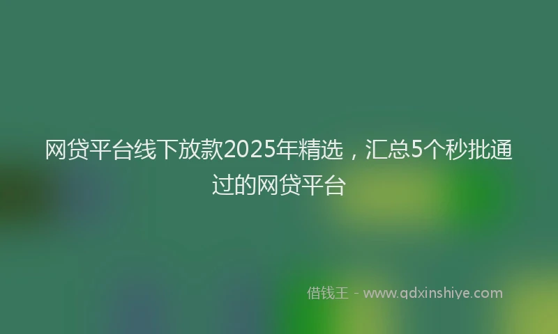 网贷平台线下放款2025年精选，汇总5个秒批通过的网贷平台