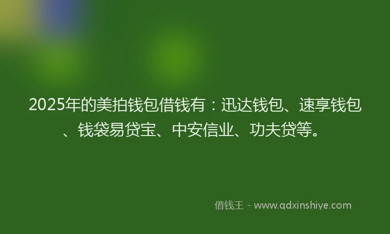 2025年的美拍钱包借钱有：迅达钱包、速享钱包、钱袋易贷宝、中安信业、功夫贷等。