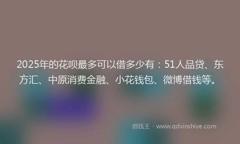 2025年的花呗最多可以借多少有：51人品贷、东方汇、中原消费金融、小花钱包、微博借钱等。