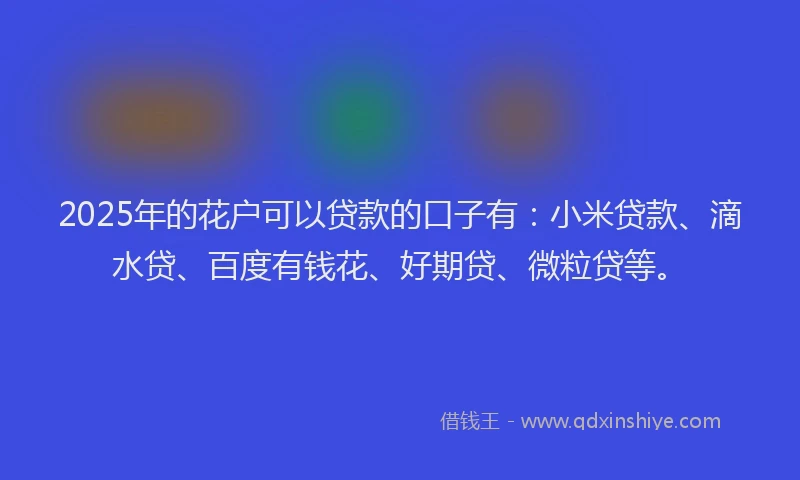 2025年的花户可以贷款的口子有：小米贷款、滴水贷、百度有钱花、好期贷、微粒贷等。