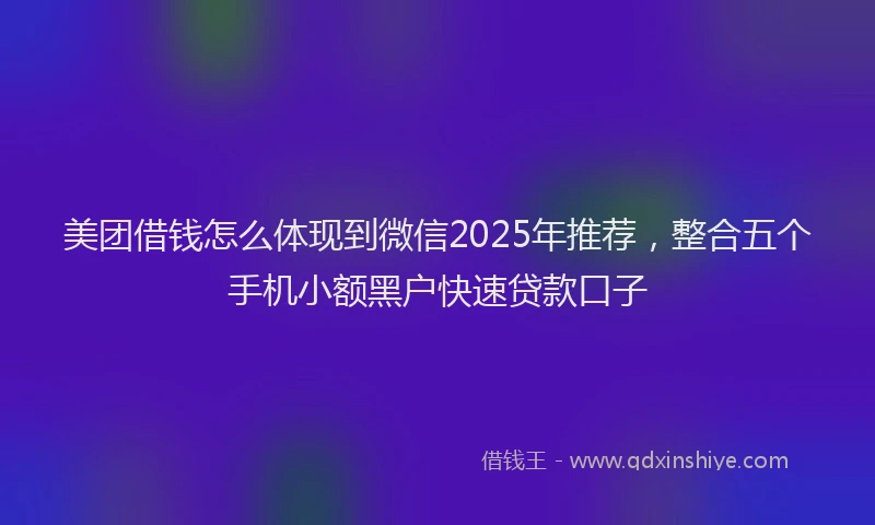 美团借钱怎么体现到微信2025年推荐，整合五个手机小额黑户快速贷款口子